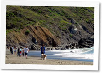 Muir Beach